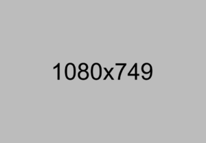 Mehr über den Artikel erfahren Litora torqent per conubia